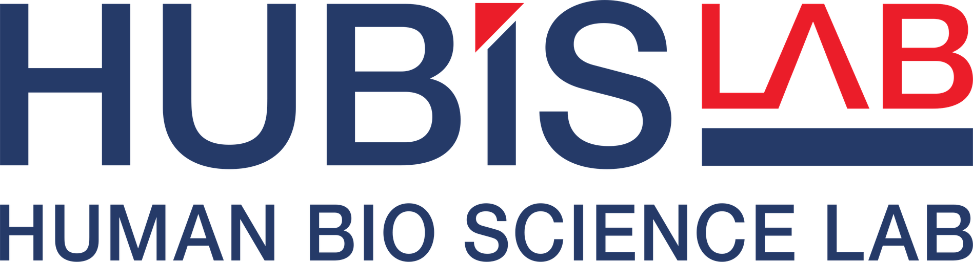 Hubislab
